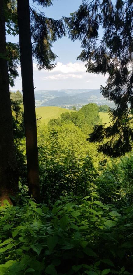 Gasthaus Sternen Post Oberried  Zewnętrze zdjęcie